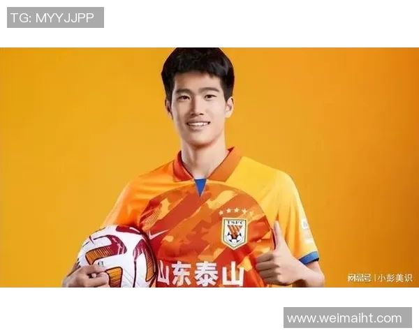 中国足球队伤病困扰下的明星球员遭遇：历届主力球员伤病回顾与分析